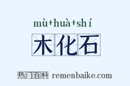 木化石是什么意思的图片
